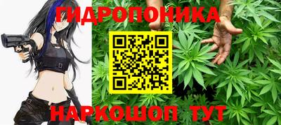 apvp Кандалакша