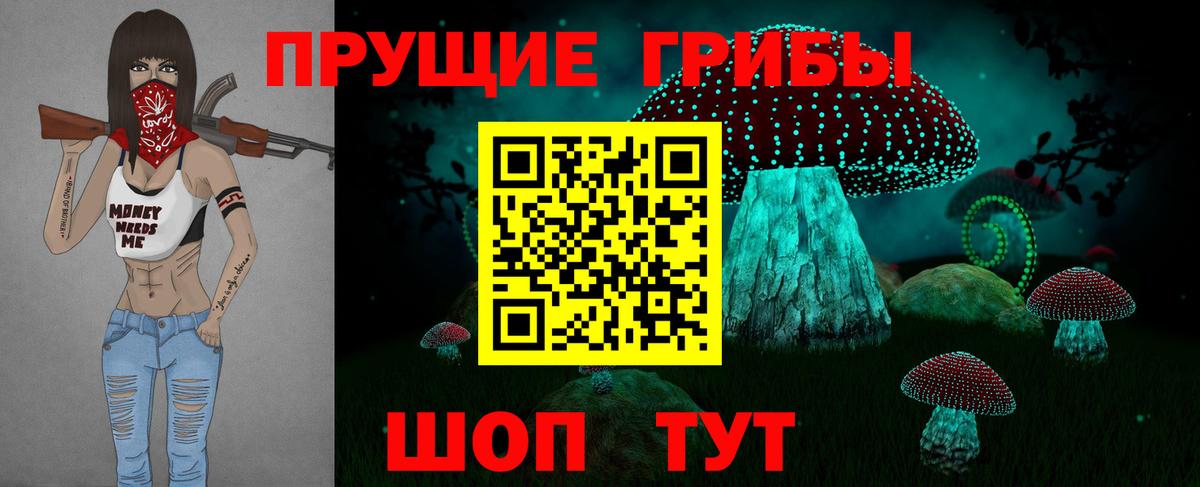 Галлюциногенные грибы прущие грибы  Вход с VPN  Коммунар  Галлюциногенные грибы Psilocybe 